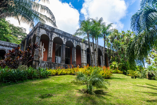 Sitio Roberto Burle Marx site, a landscape garden, UNESCO World Heritage Site, Rio de Janeiro, Brazil