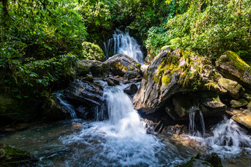 Couto waterfall Forest South-East Reserves, UNESCO World Heritage Site, Alto Ribeira Touristic State Park, Sao Paulo State, Brazil