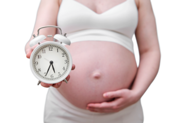 Alarm clock in the hands of a pregnant woman, studio photo, isolated on a white background