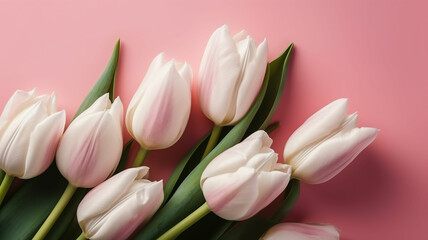 White tulips on pink background banner, Generative AI