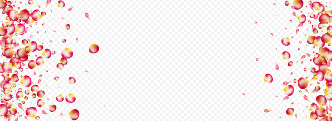 Obraz premium Beautiful Rose Tender Vector Panoramic