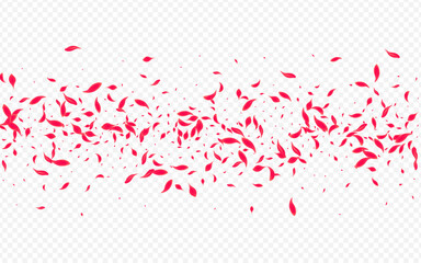 Beautiful Petal Vector Transparent Background.