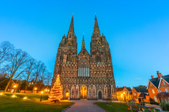 Lichfield Cathedral, Christmas tree, Lichfield, Staffordshire