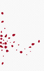 Red Peach Spring Vector Transparent Background.