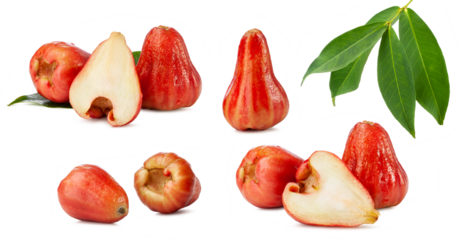 set of rose apples with leaves isolated on white background.