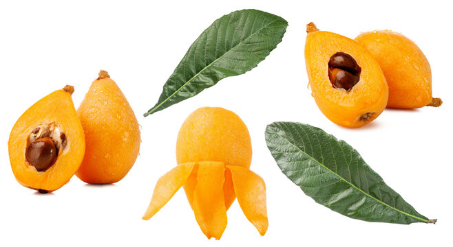 set of loquat fruits with leaf isolated on white background