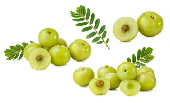 set of Amla or Indian gooseberry with leaf isolated on white background.
