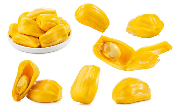 a set of jackfruit isolated on white background.