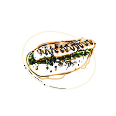 Hotdog color sketch with transparent background