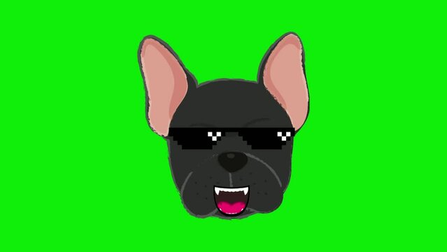 cute bulldog expression animation, pixel art, with green screen background, perfect for animal lovers, pet shops, etc.