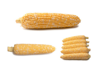 Yellow corn isolated on white background. Copyspace.
