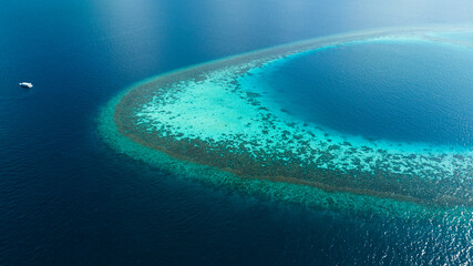 Maldives coral reef from above