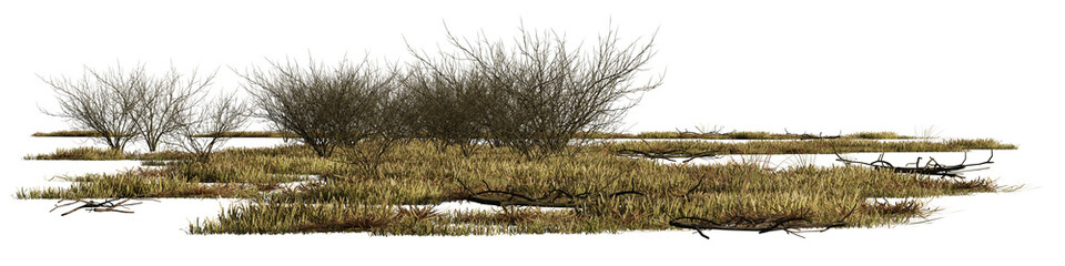 savanna scene cut-out, dry plants in the desert, isolated on transparent background banner
