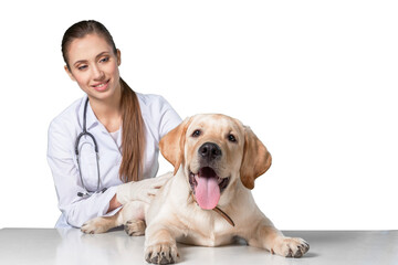 Fototapeta na wymiar Beautiful young veterinarian with a dog on a white background