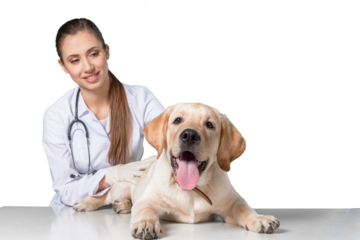 Beautiful young veterinarian with a dog on a white background