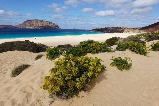 Playa de las Conchas, La Graciosa, Lanzarote
