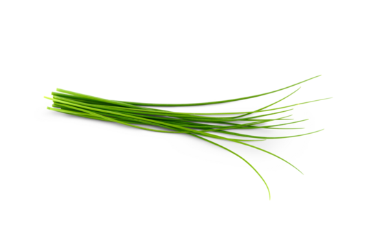 Fresh organic green chives, raw aromatic garden herbs Isolated against a transparent background.