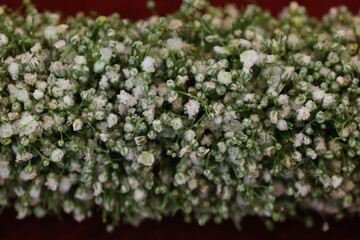 flower garland placed. indian wedding tradition