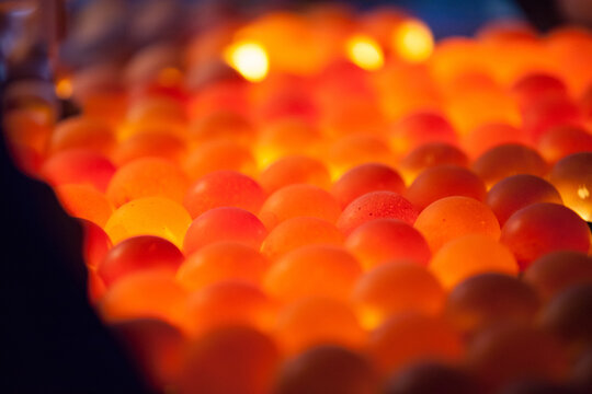 Chicken eggs on ovoscope. Short depth of field.