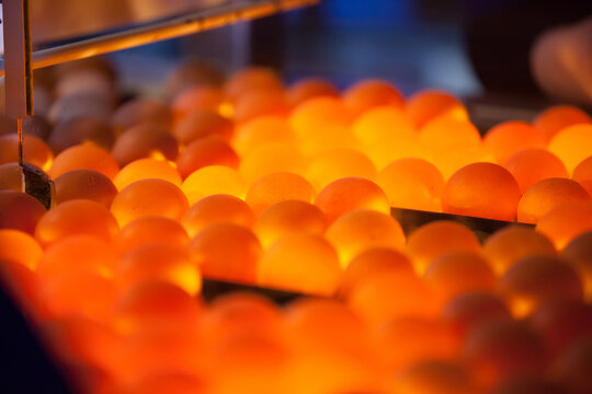 Chicken eggs on ovoscope. Short depth of field.