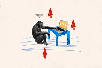 Photo cartoon comics sketch collage picture of monkey learning work modern device isolated drawing background