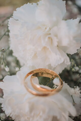 Obraz na płótnie Canvas boda, flor, ramo, naturaleza, amor, rosa, decoraciones, anillos, alianzas