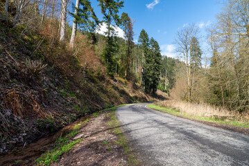 Fototapeta na wymiar A country road through the Black Forest National Park