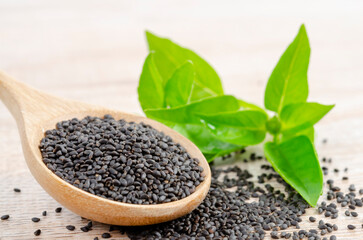 The Law Hairy basil or Lemon basil seeds in wooden spoon with green leaf.