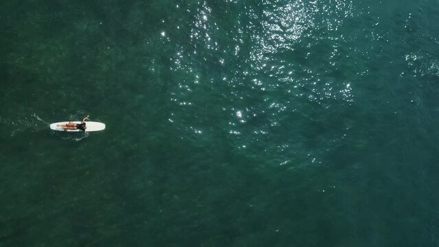 Young female surfer rowing on surfboard in crystal ocean water at scenic tropical beach on sunny day aerial view. Surfing girl enjoying sport paddling and surfing on summer vacation drone shot