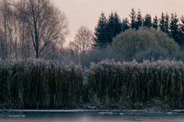 winter landscape with frozen lake and trees - retro, vintage style look