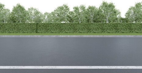 Realistic road side with hedge and tree. 3d rendering of isolated objects.