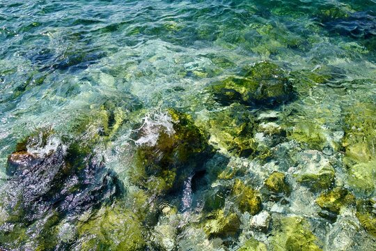 freu sweet water in a mountain lake