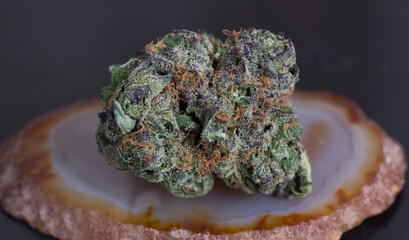 Macro of Weed
