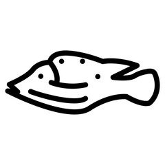 fish