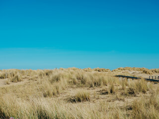 Fototapeta na wymiar Dried grass in sandy land with a fence