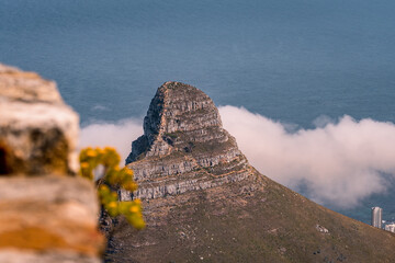Lion's Head