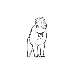 Hand drawn vector abstract graphic line art collection with diverse cute funny cartoon dogs characters.Vector illustration of funny cartoon different breeds dogs in trendy flat style. Line dog icon.