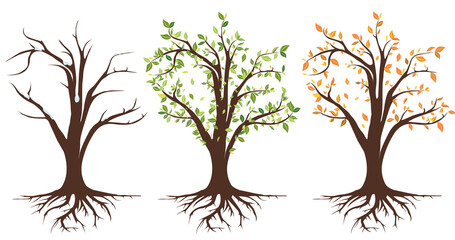 Fototapeta premium Seasons, weather, spring, summer, autumn, winter, trees, precipitation illustration