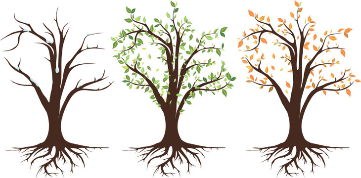 Set of trees with leaves changing seasons November vector illustration