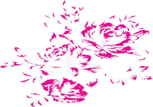 Best Flower bouquet collection vector image js 2