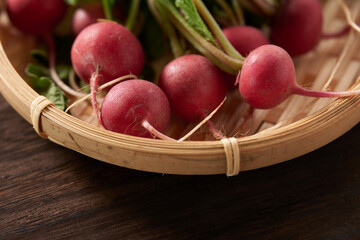 新鮮なラディッシュ　イメージ