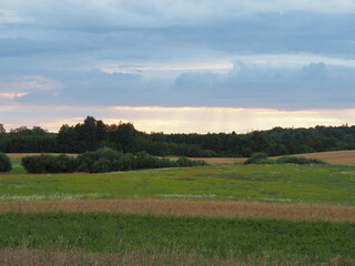 Beautiful green fields in Poland