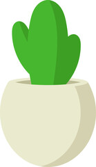 Cute Cactus with Modern Pot