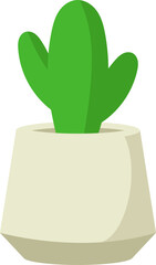 Cute Cactus with Modern Pot