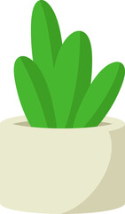 Cute Cactus with Modern Pot