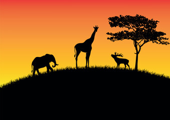wildlife in the hill at sunset, vector illustration.