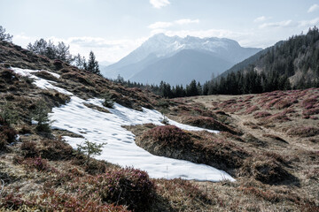 Amazing spring scenery in the mountains with colorful and pink flowers before sunset.