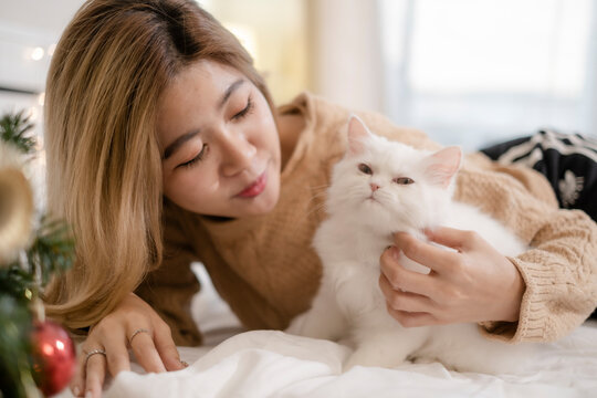 Asian woman in brown sweater looking her cat with smile of happiness and love, relationship between owner and pet.