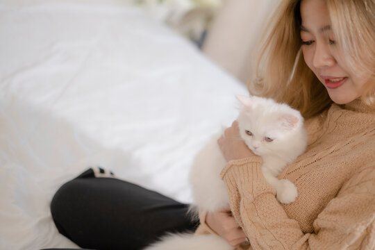White adorable kitten in owner hug, relationship between onwer and pet.