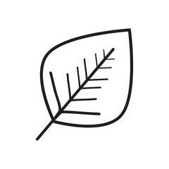leaf